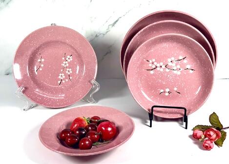 Do you know what kinds of ceramic dinnerware can be