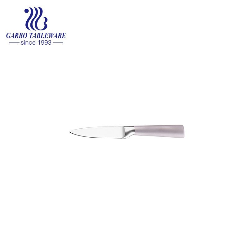 Wholesale High Quality Kitchen Knife Bulk Pack 420 Stainless Steel Paring Knife